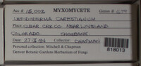 Image Associated With the Occurence